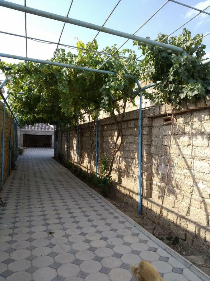 Villa Cozy House In Bina, Bolluq Bakú Exterior foto